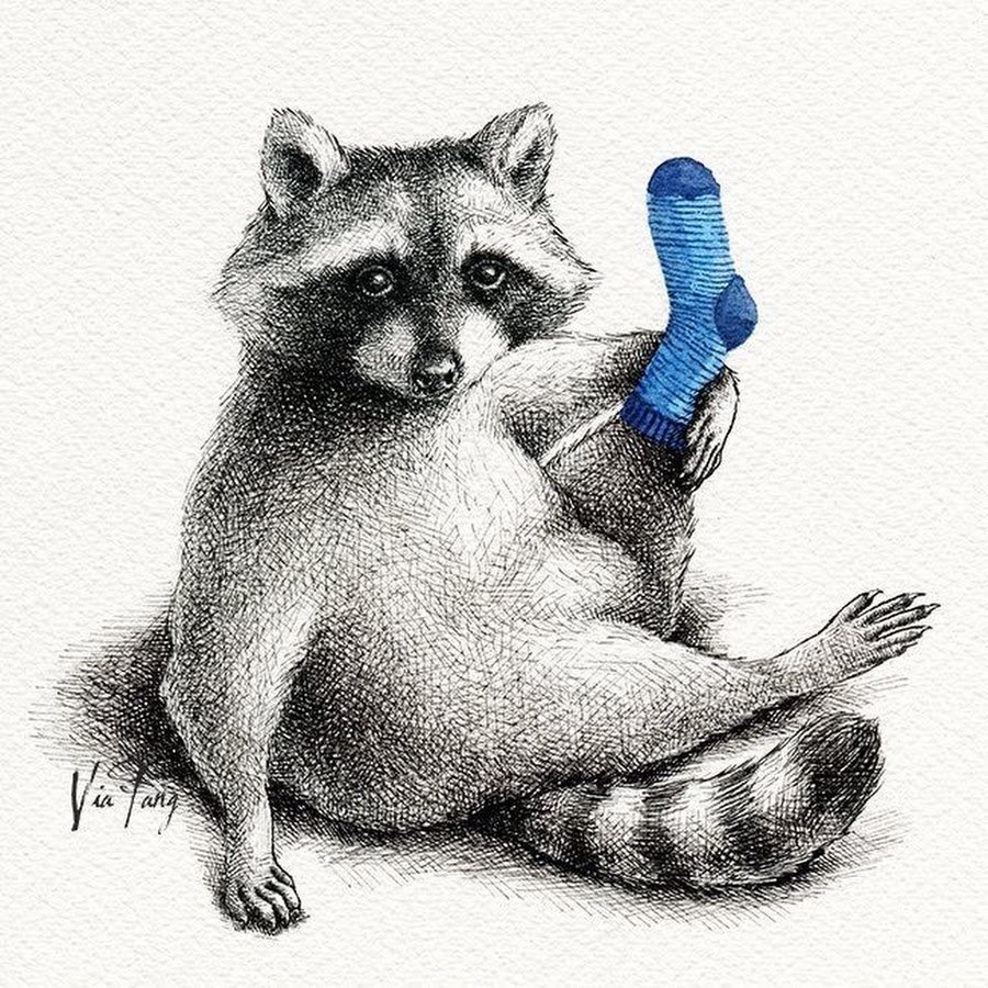 Милый Енотик