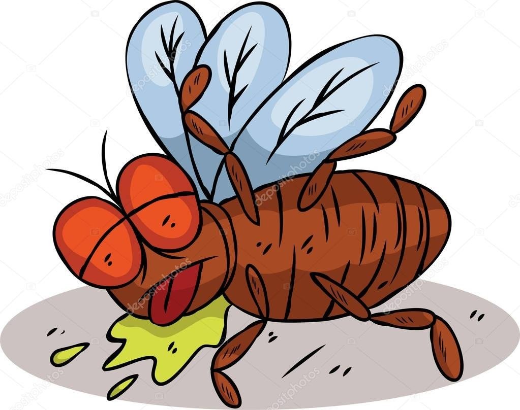 Сонная Муха