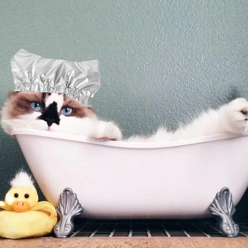 Кошка в спа салоне