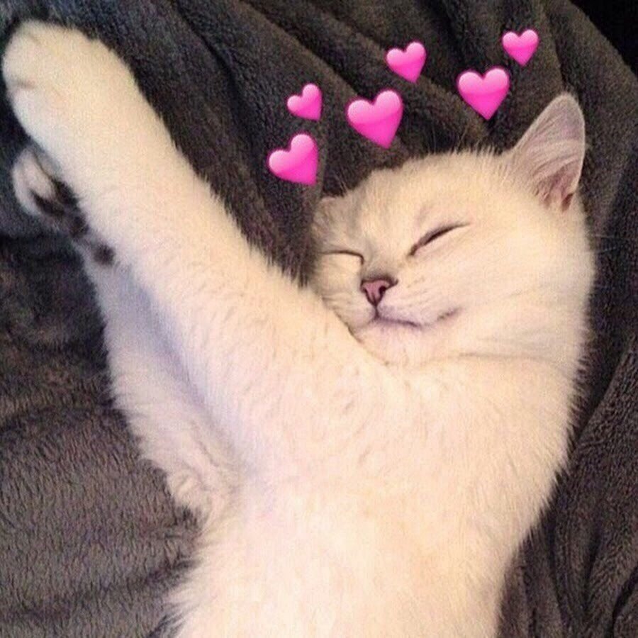 Кот Пушин и его друзья