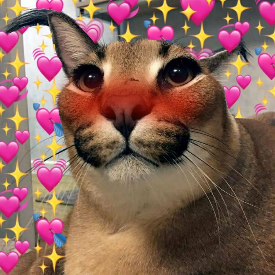 Пантера рычит