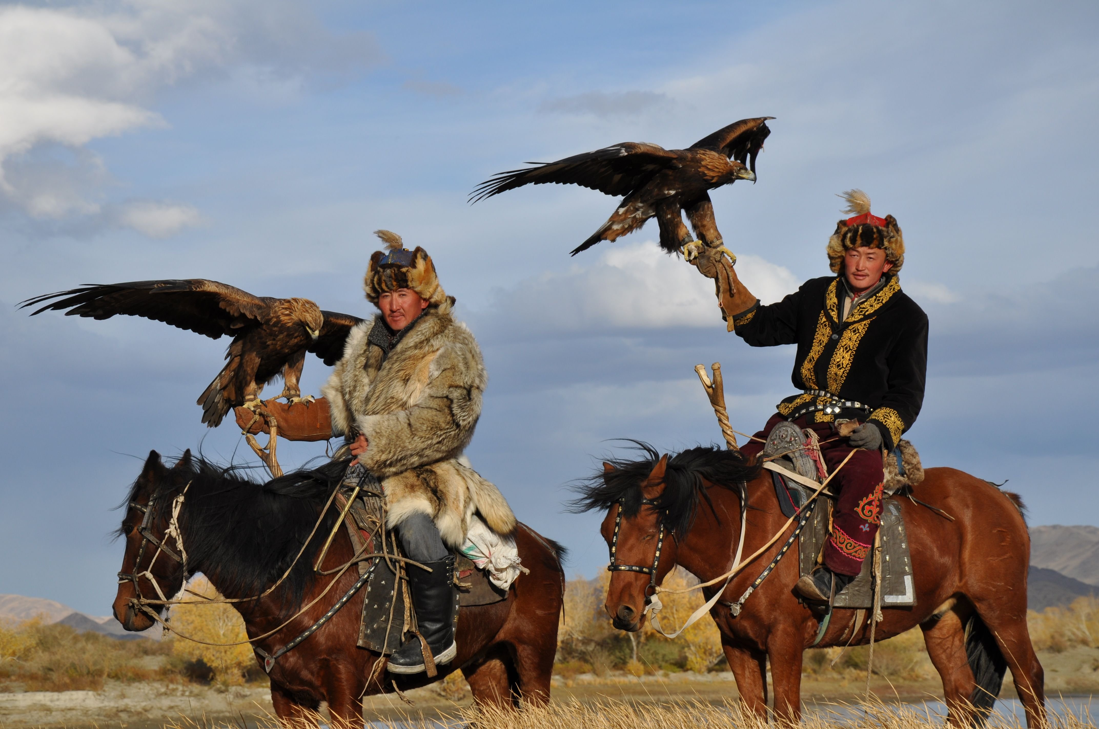 Отношения между беркутом и джейраном. Монгол Номадс. Соколиная охота Киргизия. Соколиная охота башкиры. Охота с Беркутом в Кыргызстане.
