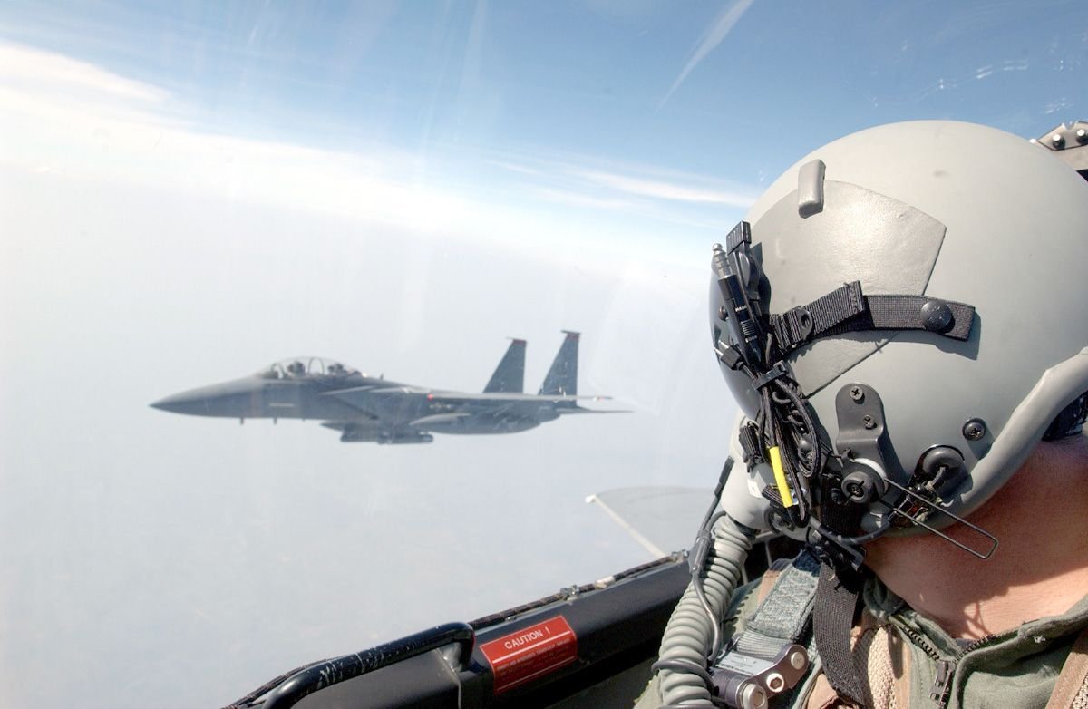 Кот на теплоходе Николай Чернышевский