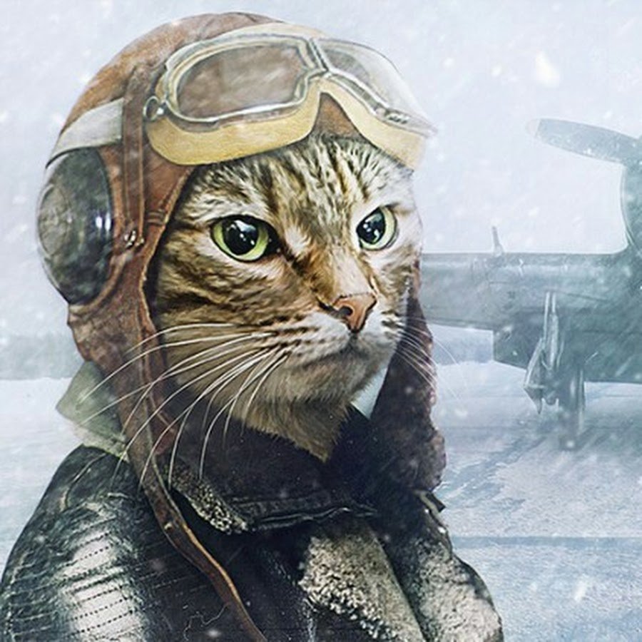 Кот охотник