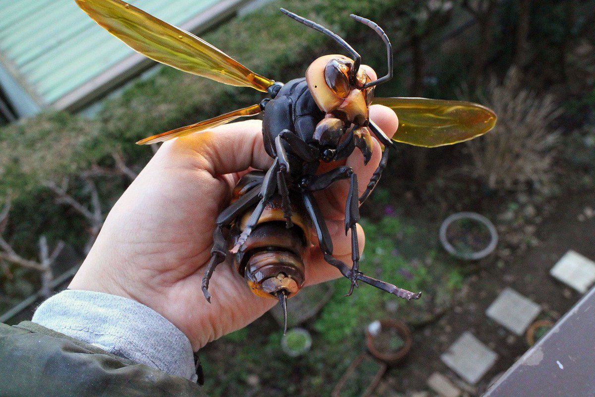 Толстый Шмель