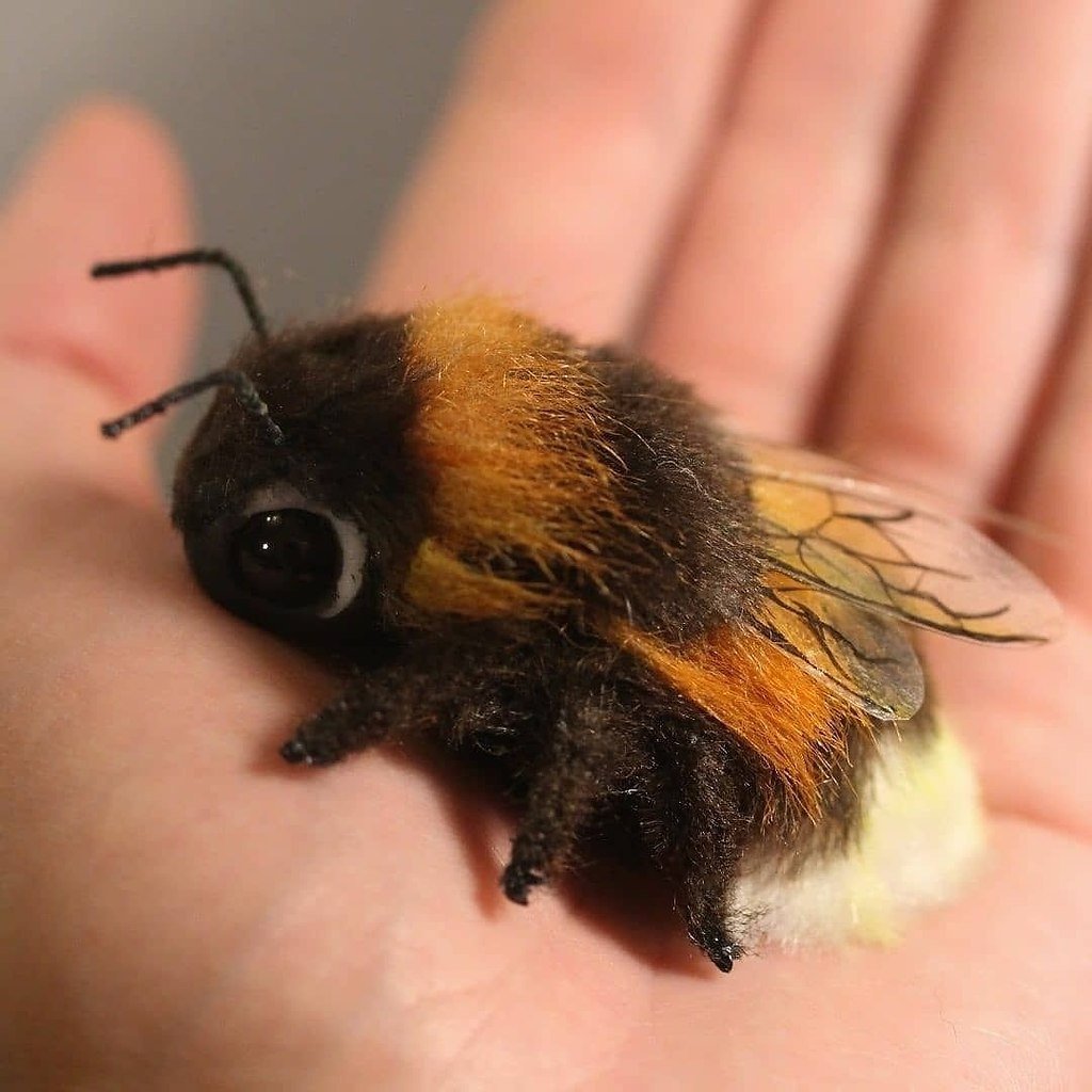 Шмель пчела Оса трутень