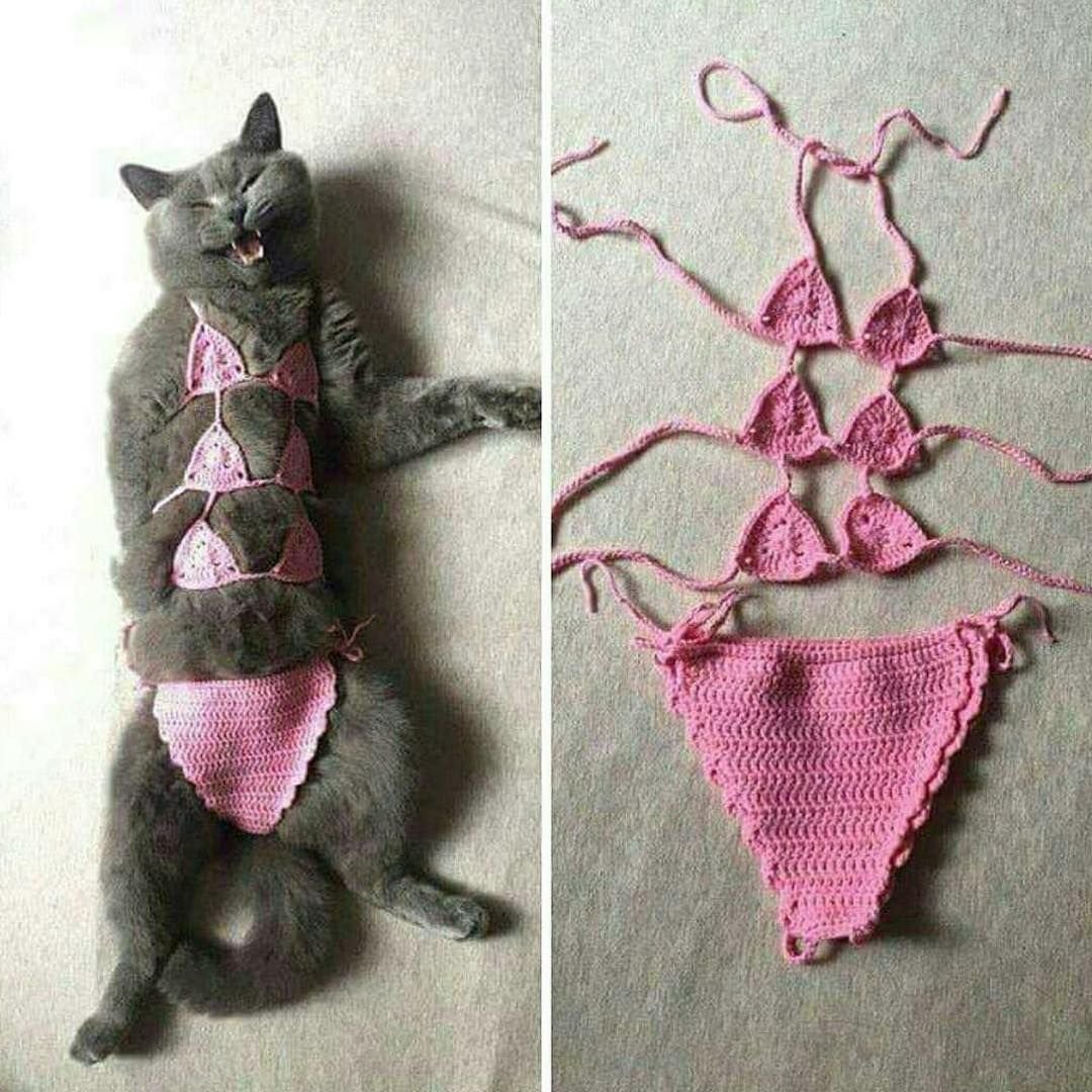 Кошачий купальник для кошек