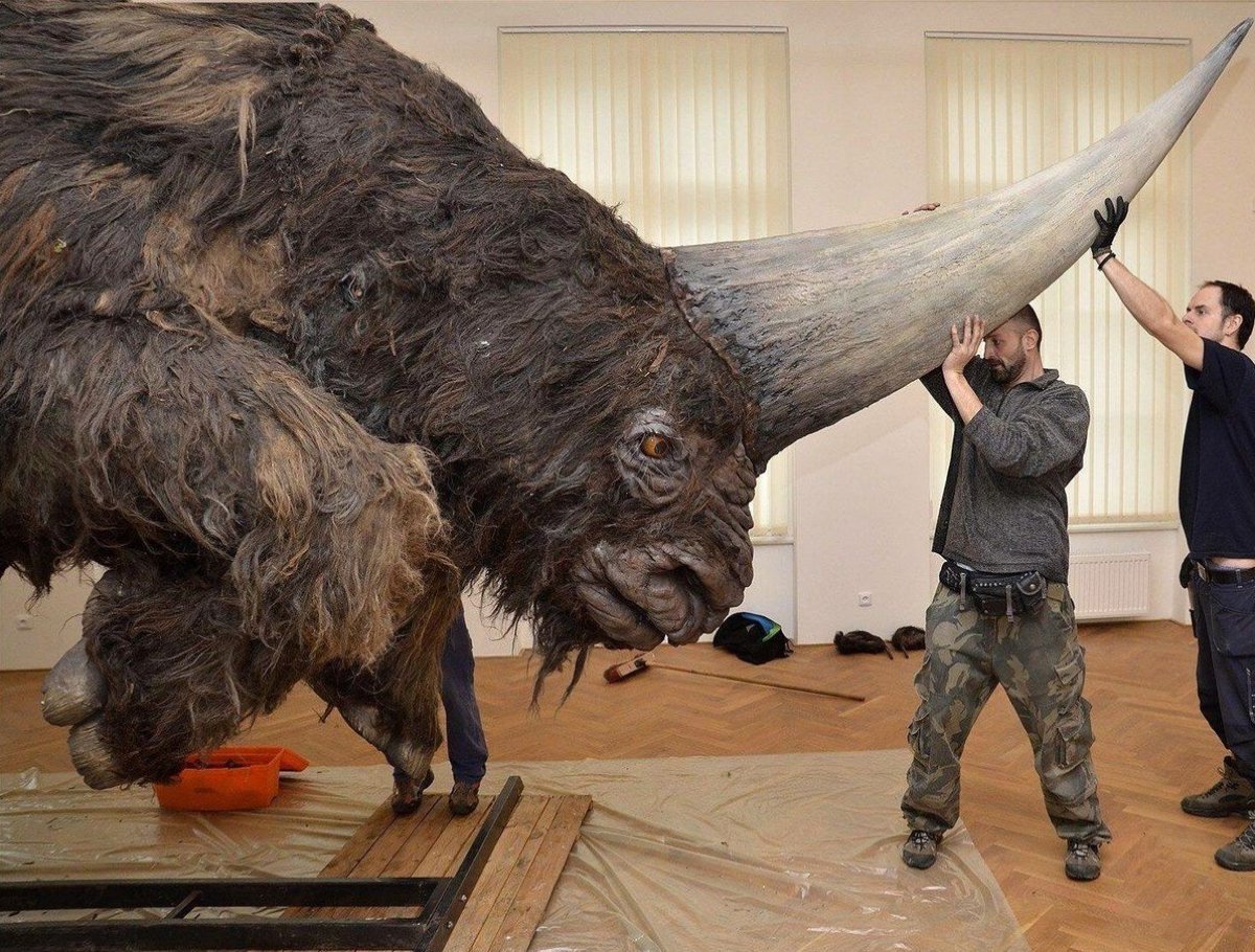 Эласмотерий Сибирский Единорог