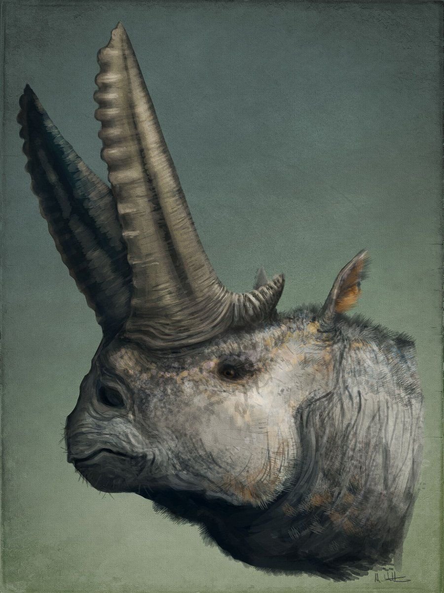 Доисторические предки животные