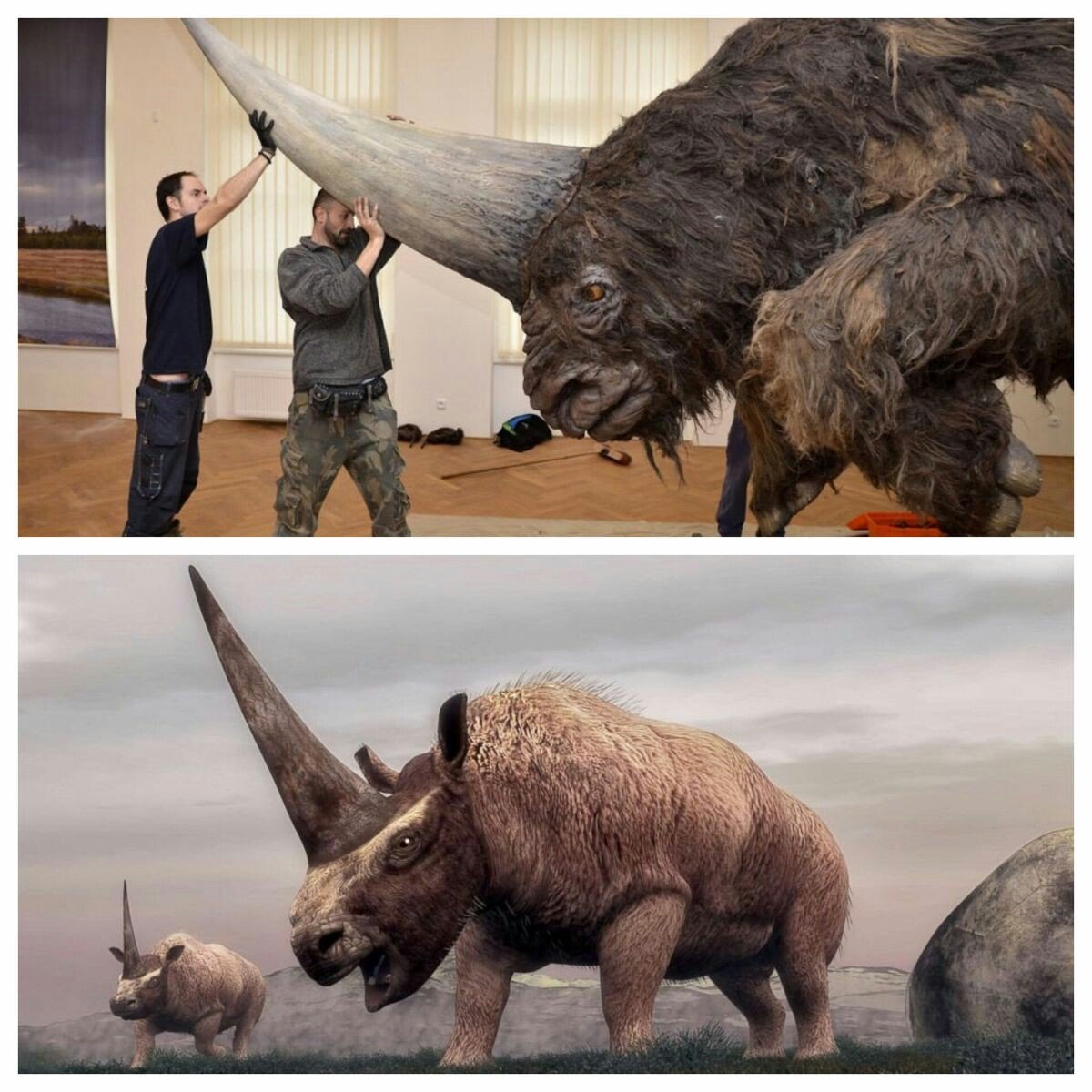 Носорог ДНД