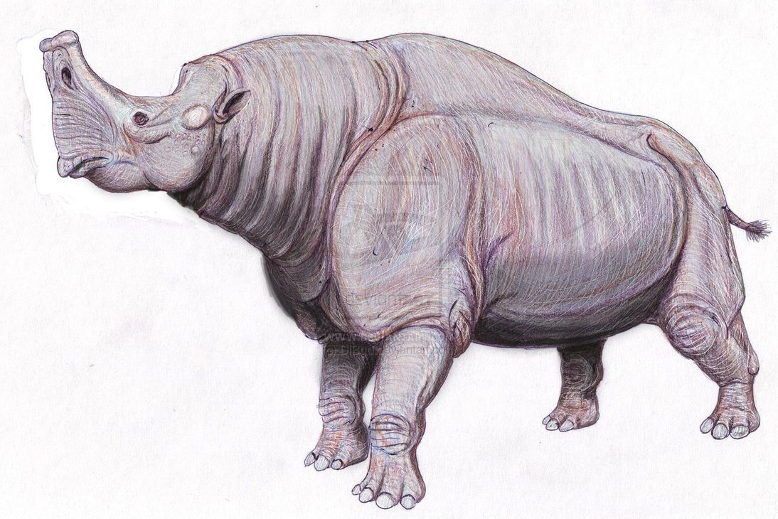 Миоценовая фауна Европы