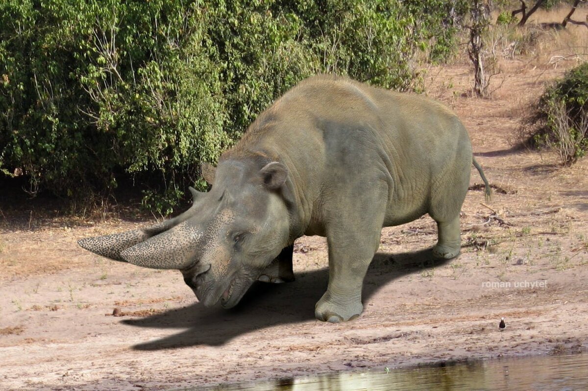 Тундростепь ледникового периода
