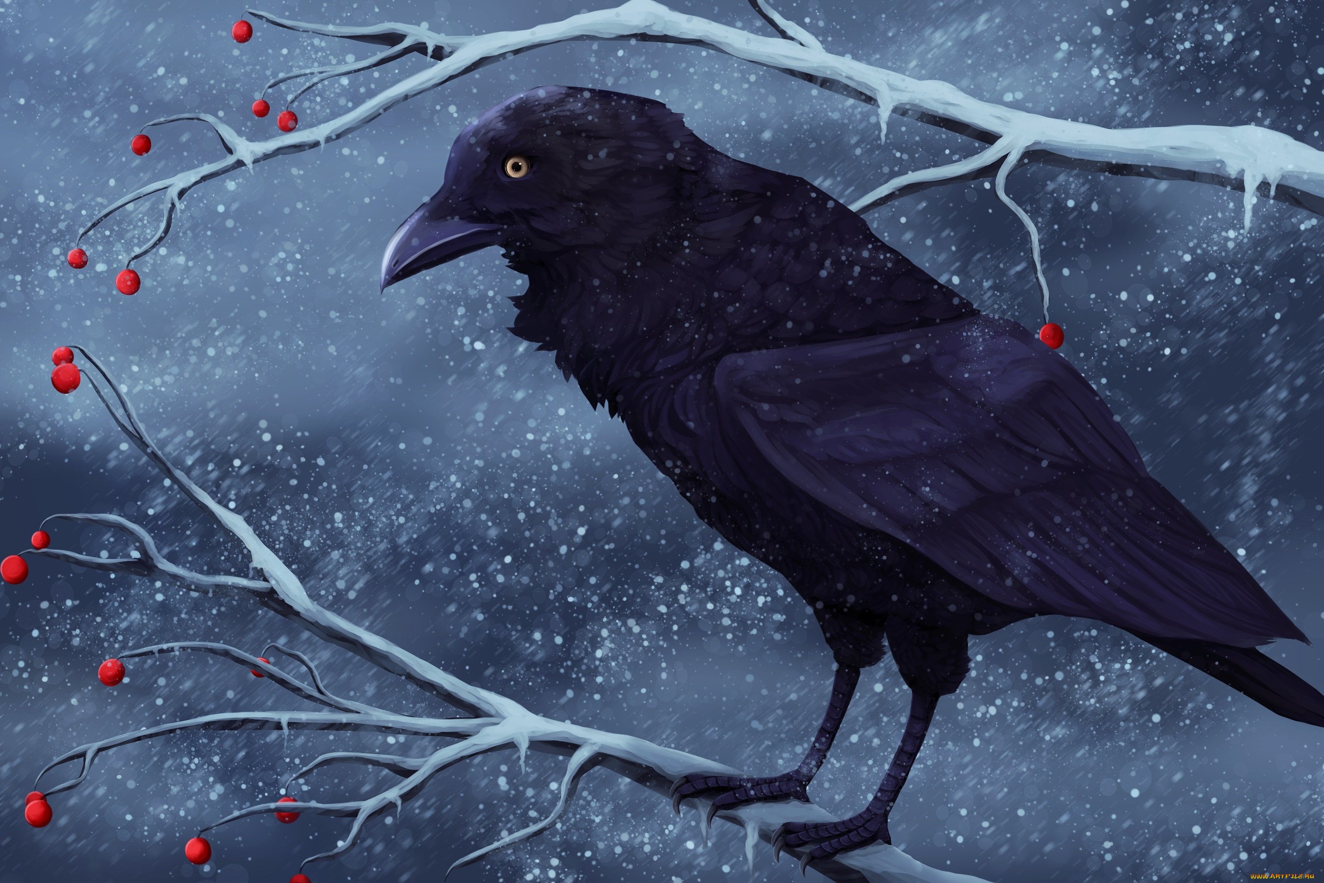 Жила ворона в заколоченном на зиму