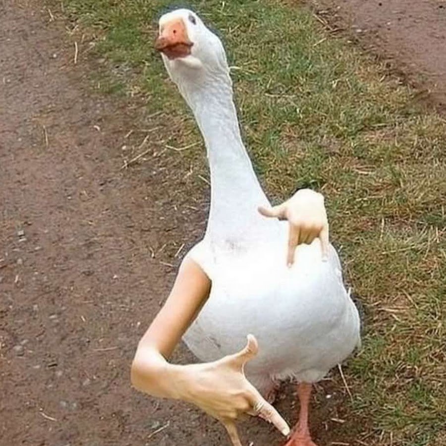 Смешной Гусь