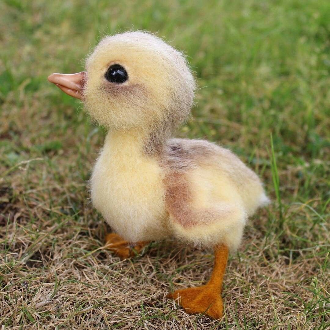 Милая уточка