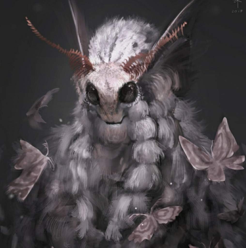 Павлиноглазка малая Saturnia Pavonia