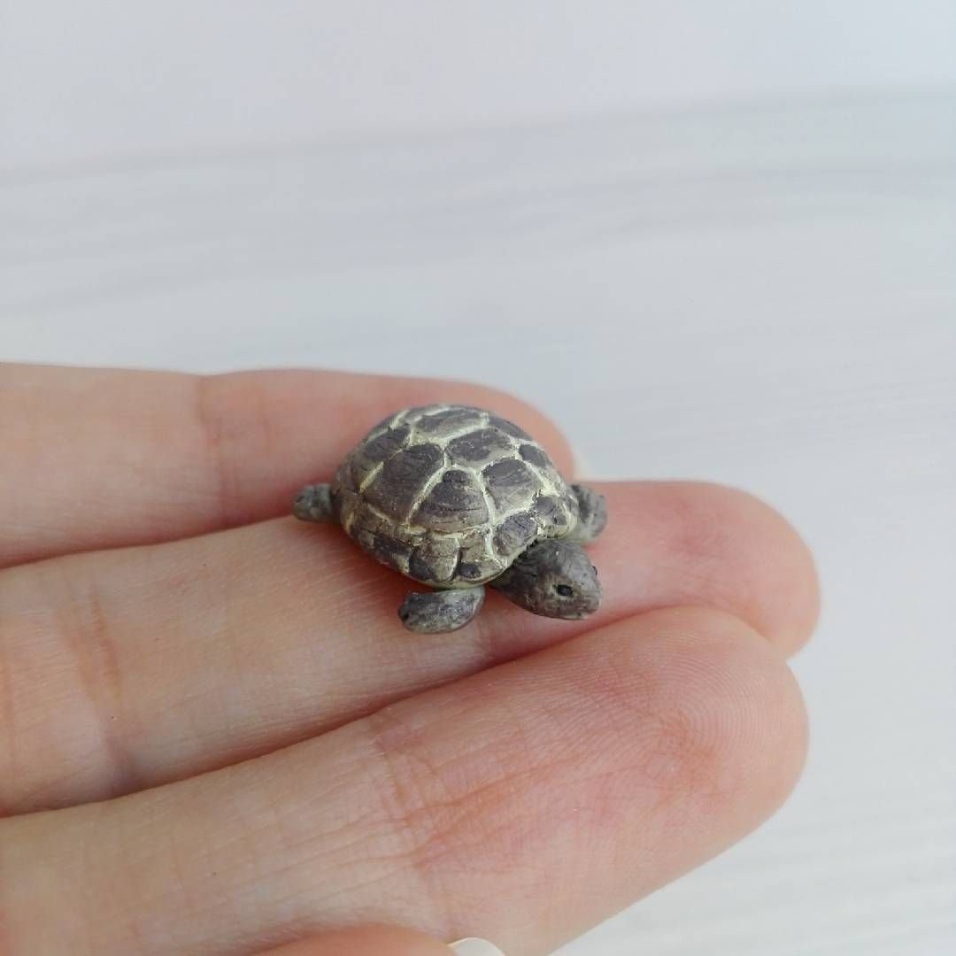 Миниатюрные Черепашки