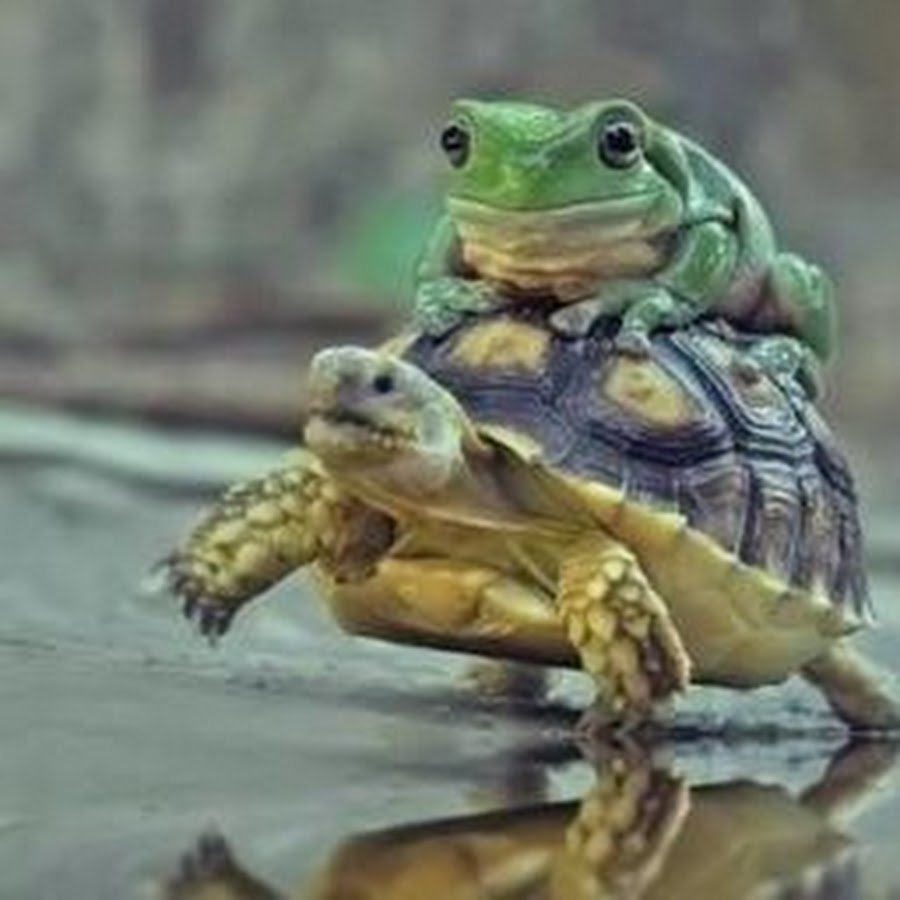 Миниатюрные фигурки для декора