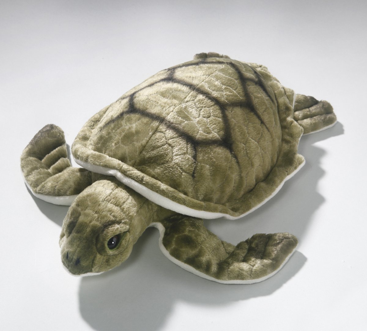 Красноухая черепаха детеныш