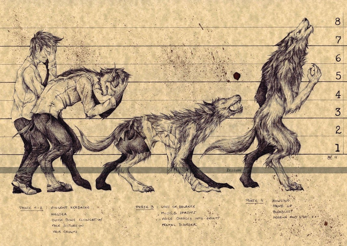 Волк в зимнем лесу ночью