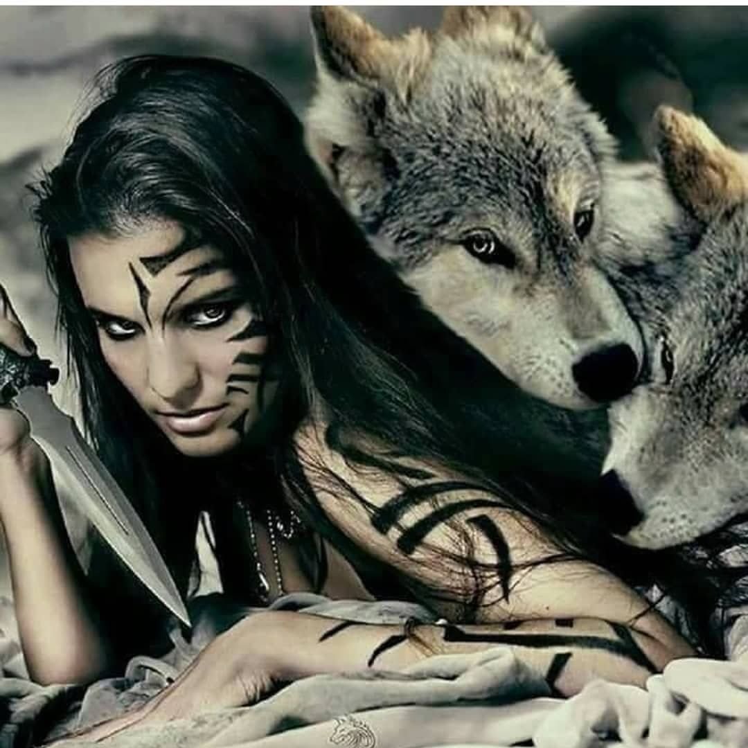 Пантера и волк вместе