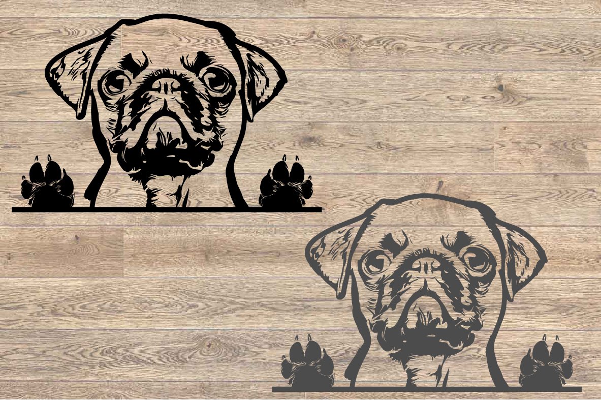 Метис МОПСА И шпица