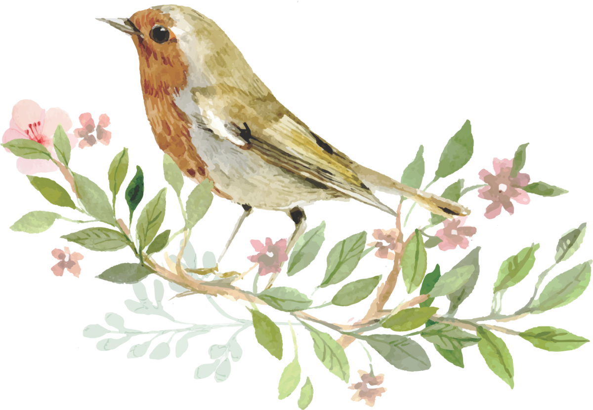 Акварельные птицы на прозрачном фоне