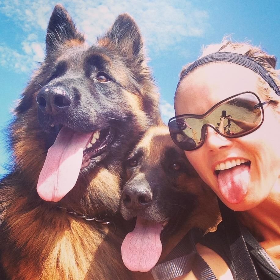 Самая большая немецкая овчарка в мире