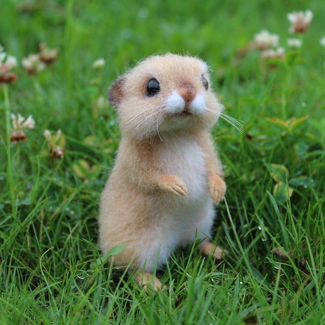 Хомяк и мышь