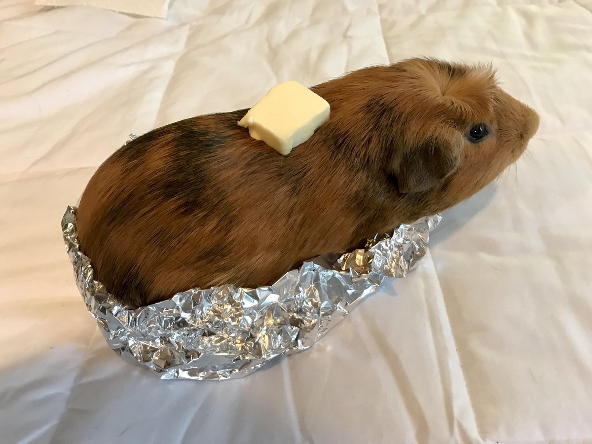 Мышка Эстетика