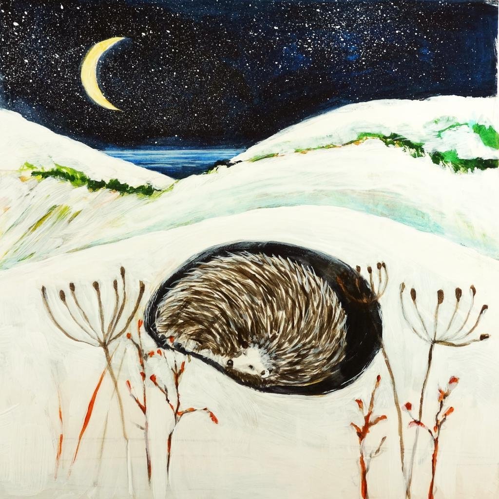 Еж спит зимой