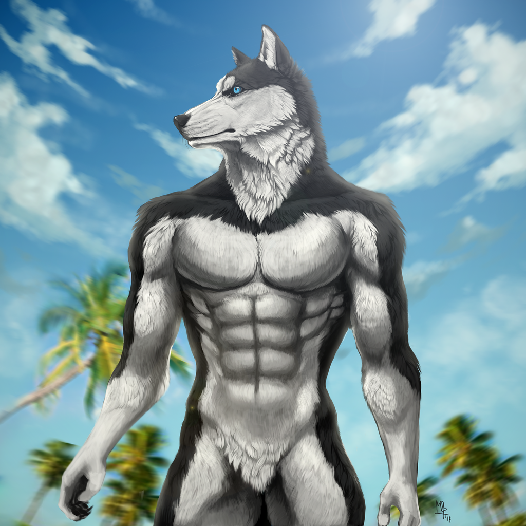 Фурри Крис волк