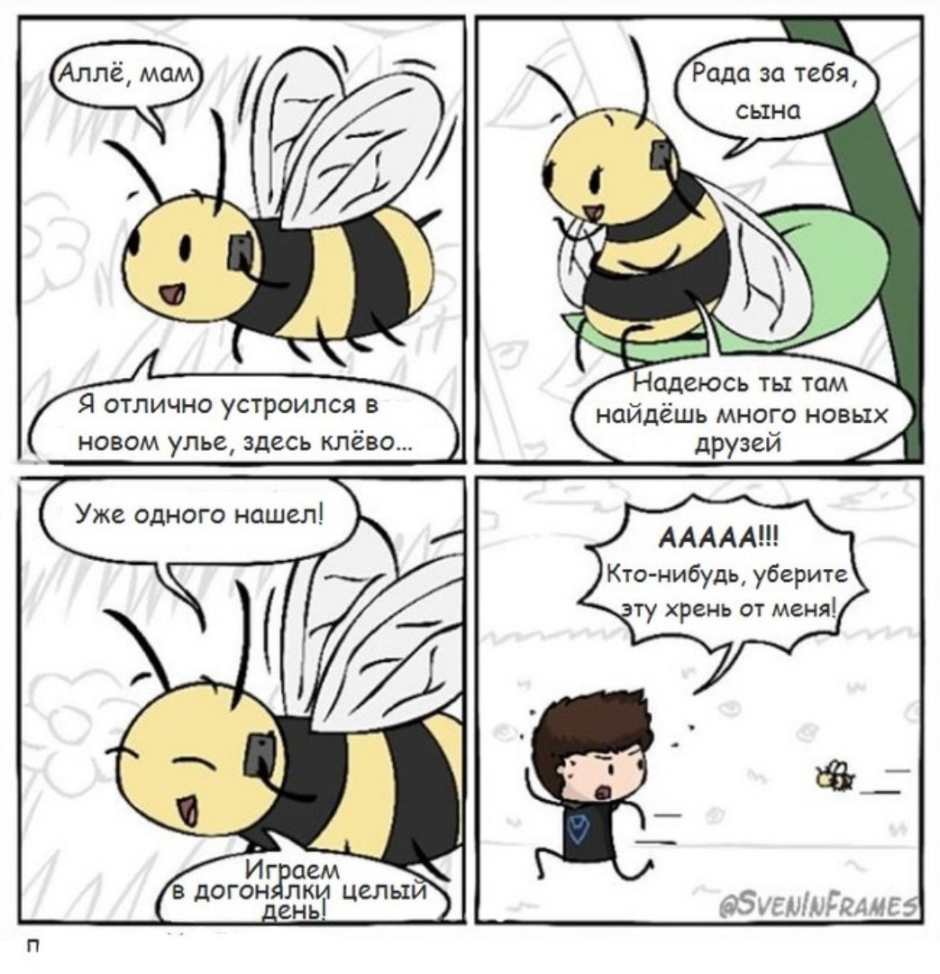 Веспа ориенталист Шершень