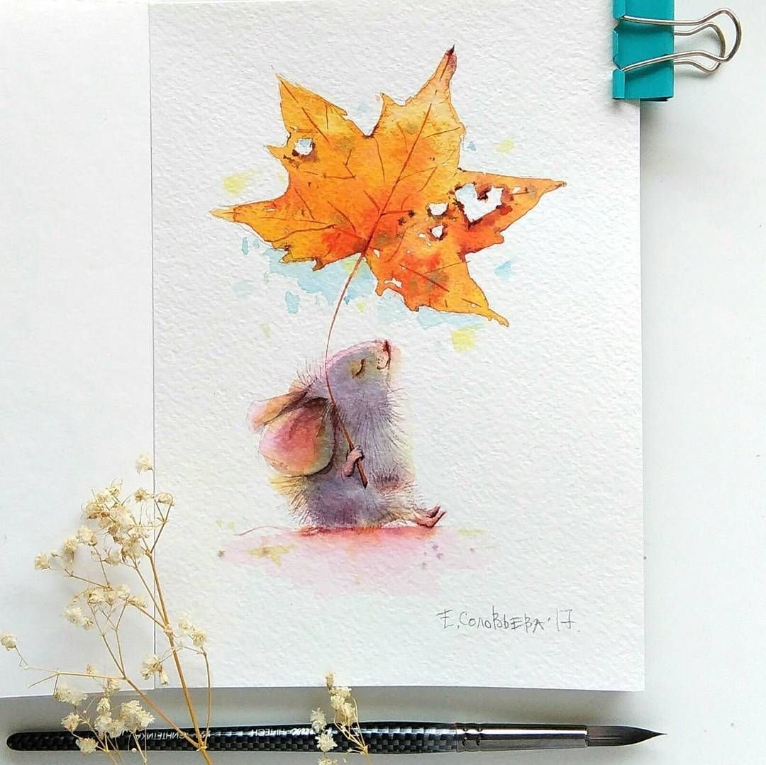 Много бабочек в полете