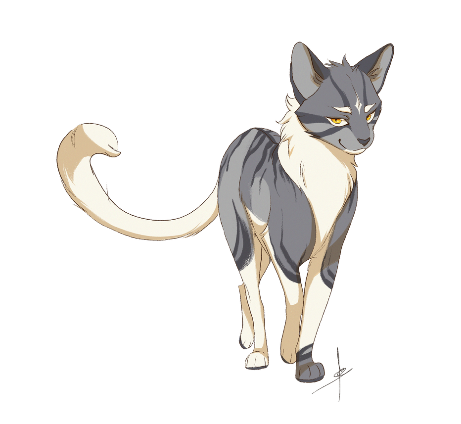 Коты Воители арт референс