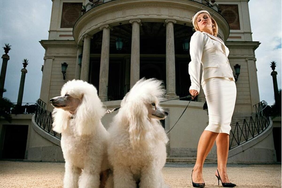 Королевский пудель с человеком