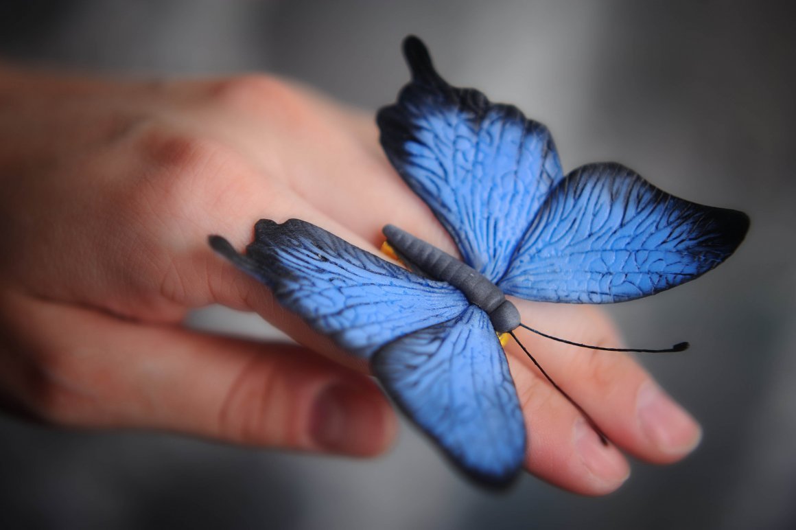 Papilio Troilus гусеница бабочка