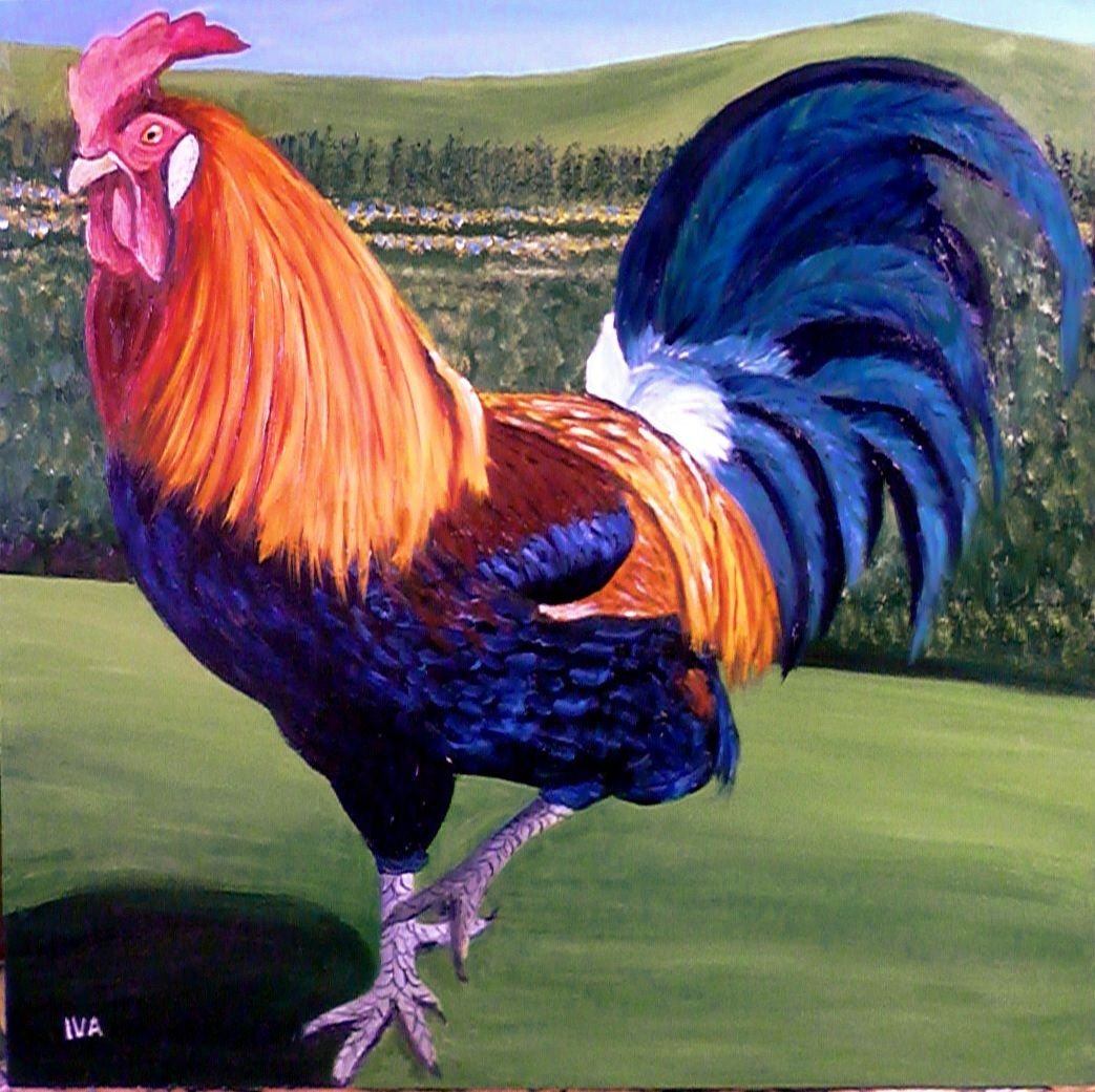 Разноцветный петух