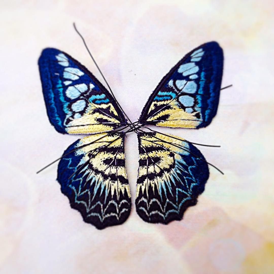 Вышивка бабочки venda_Val