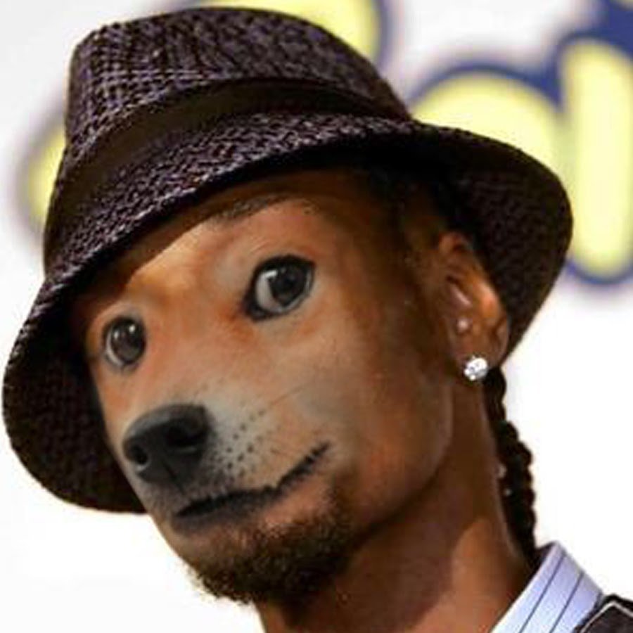 Чихуахуа снуп дог