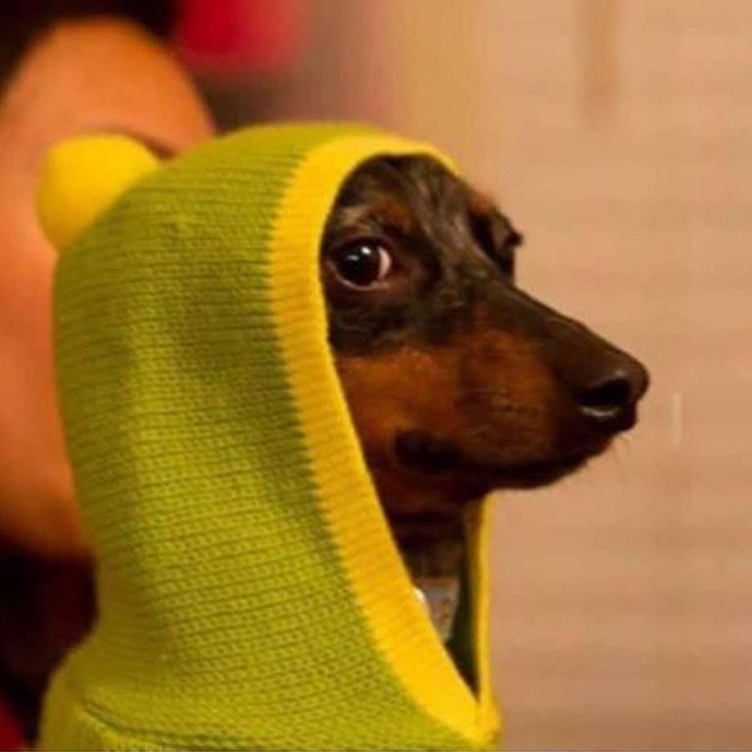 Снуп дог персонаж