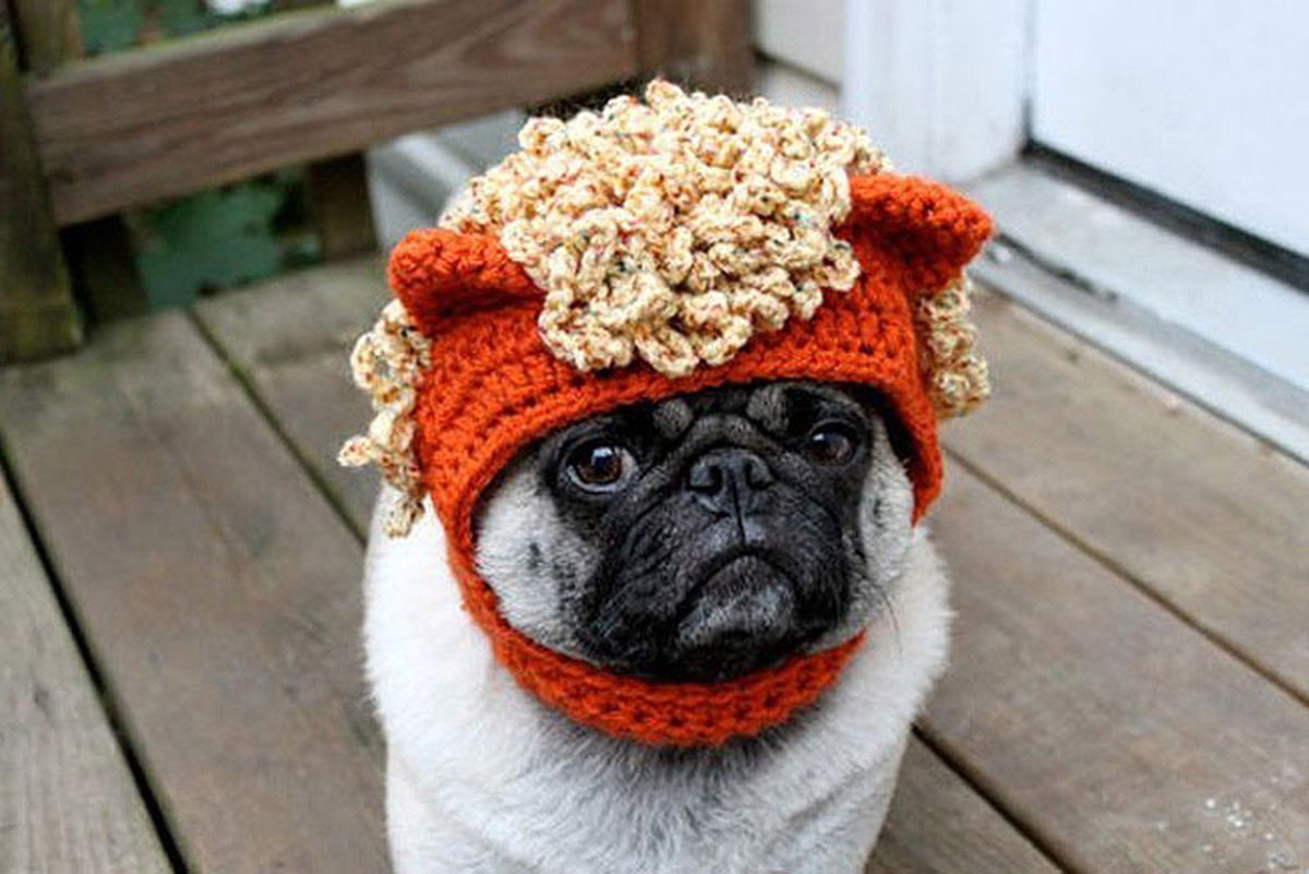 Снуп дог в очках гуччи