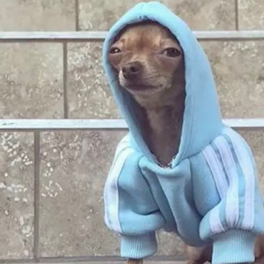 Веселый щенок