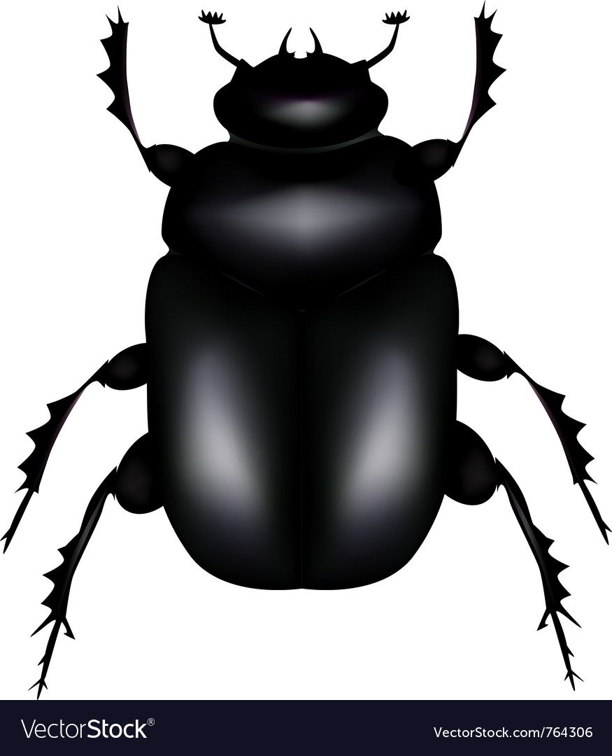 Чёрный Жук для детей