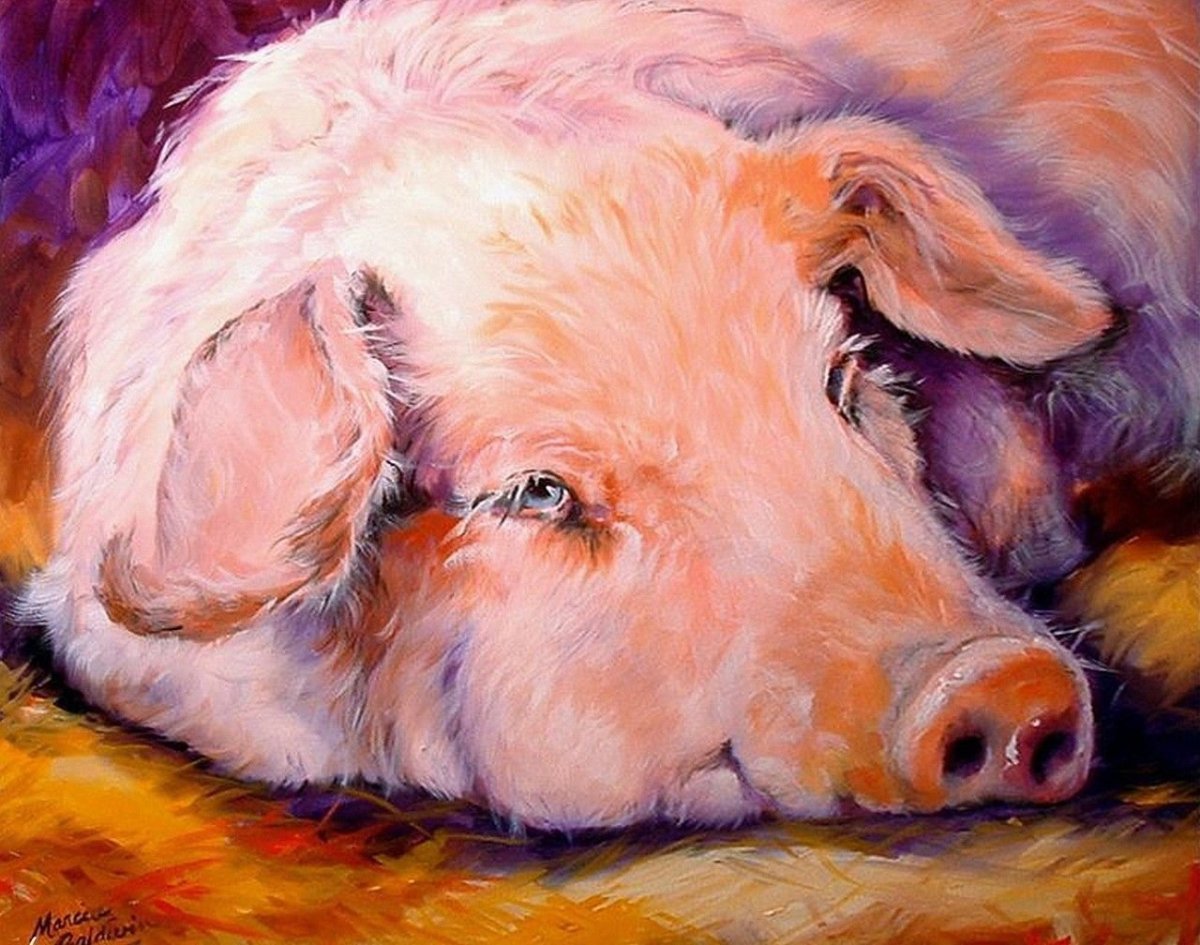 Свиньи в живописи