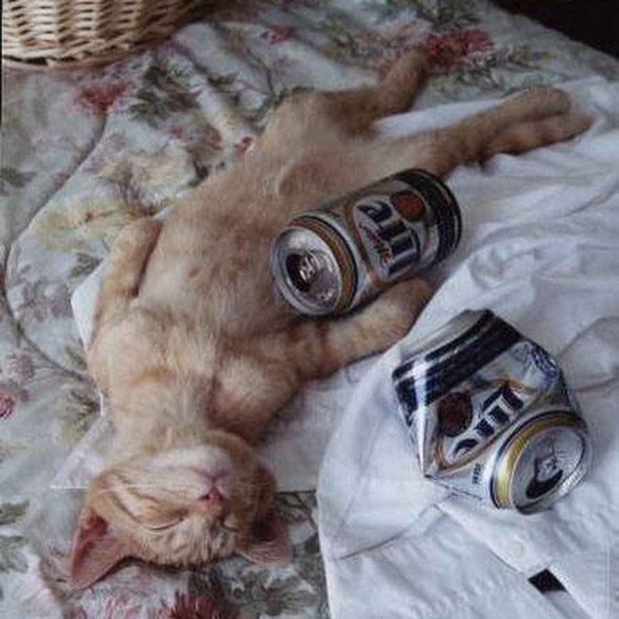 Утро после гулянки