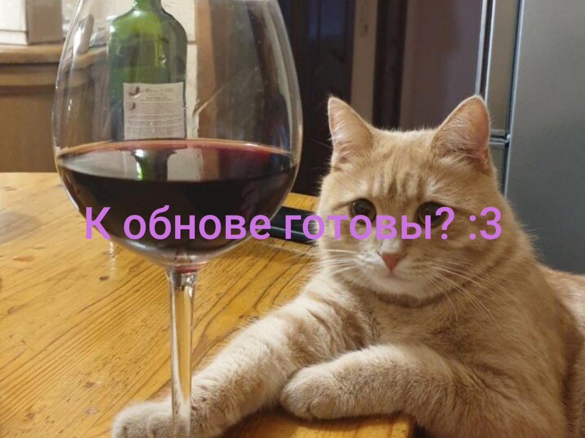 Кот с похмелья