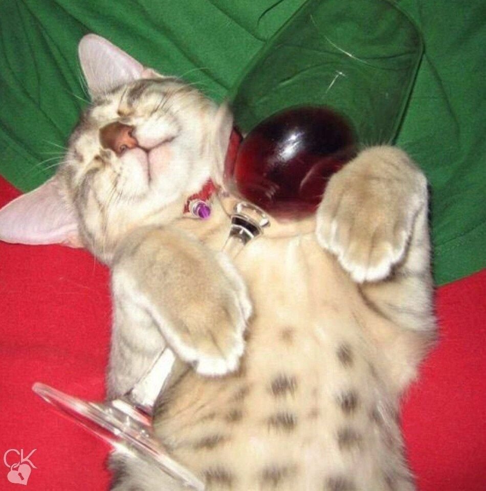 Кто празднику рад накануне пьян