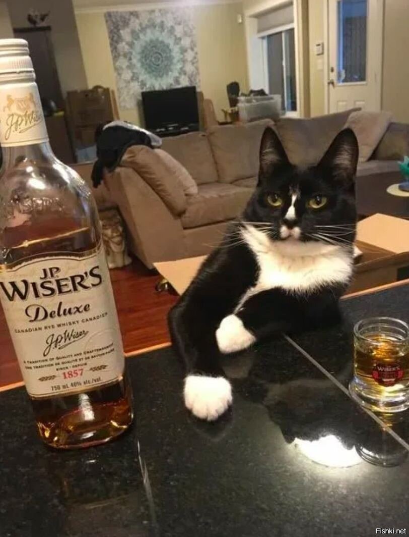 Алкогольный юмор