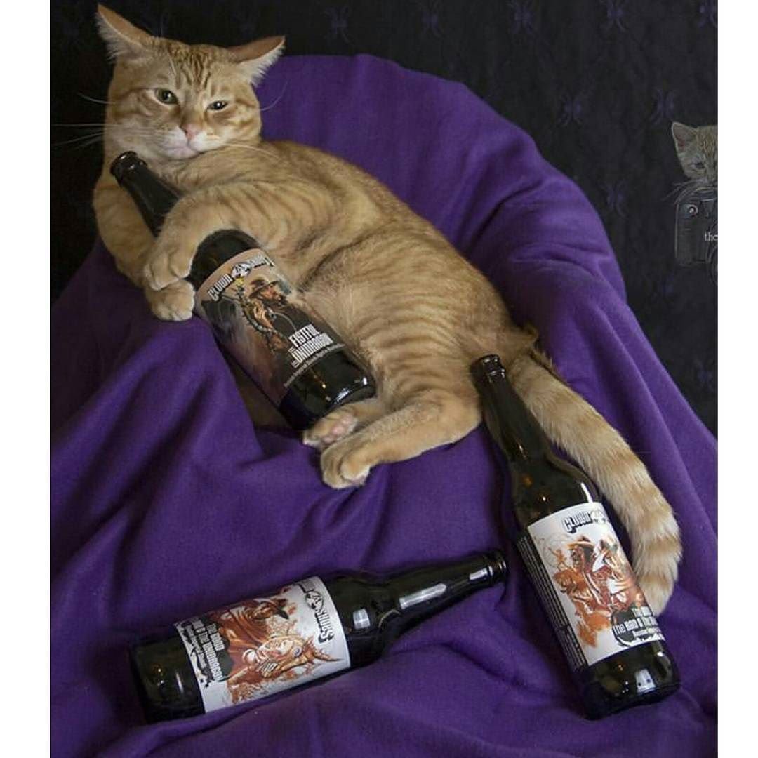 Пьяная кошка